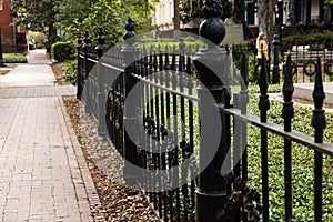 A black iron gate surrounding a front yard