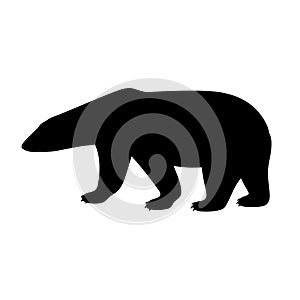 Black isolated silhouette of polar bear on white background. Side view.