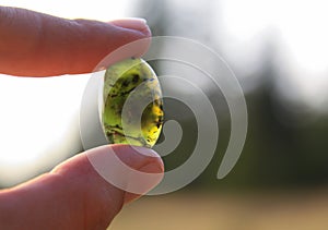 Black jade translucent green gemstone in sunlight held in fingers