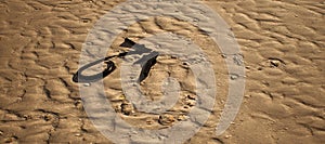 Black jumper cables lying in rippled sand of beach.