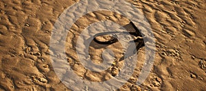 Black jumper cables lying in rippled sand of beach.