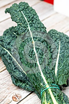 black kale, Italian kale, Tuscan kale, lacinato from organic farming