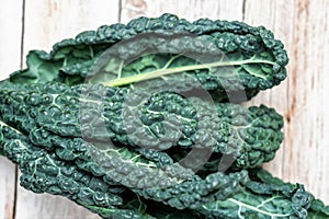black kale, Italian kale, Tuscan kale, lacinato from organic farming