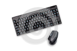 Black keyboard and mouse on white.