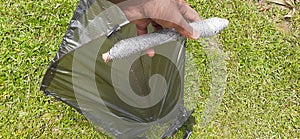 A black kite and a string ball .