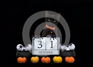 Black kitten with calendar blocks for Halloween