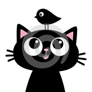 Black kitten cat face head silhouette looking up to funny bird. Cute cartoon character. Kawaii baby animal. Pet sticker collection