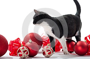 Black Kitten and Christmas decorations