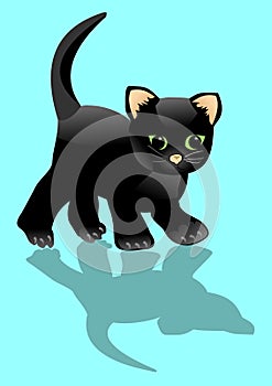 Black kitten looks at his shadow. Little surprised cat on lihht blue background.