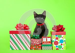 Black kitten reaching over Christmas presents with blank count down blocks