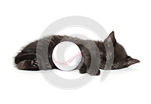 Black kitten sleeping