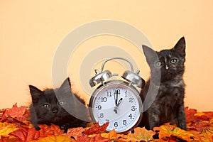 Black kittens in autumn leaves with clock, daylight savings concept