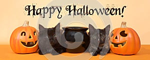 Black kittens happy halloween banner format