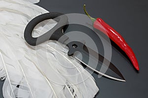 Black knife on a black background. White feathers and red pepper.