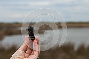 Black knight in hand on a background of swamp