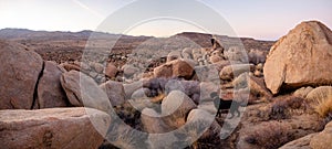 Black labrador retriever climbing among boulders in Yucca Valley California desert