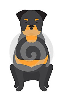 Black Labrador retriever dog domestic animal vector illustration.