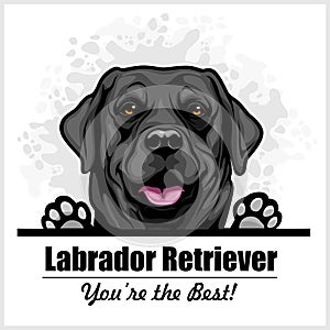 Black Labrador - vector peeking dog head, dog breed