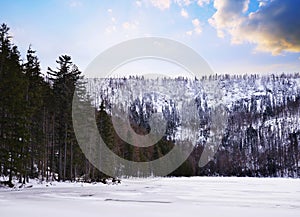 Black lake (Cerne jezero)  National park Sumava  Czech Republic.