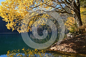 Black Lake, the Largest natural lake in the National park Sumava