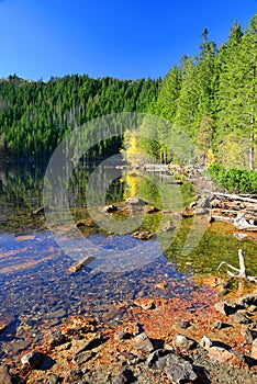 Black Lake, the Largest natural lake in the National park Sumava,Czech republic photo