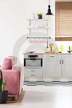 Black lamp above grey kitchenette in open space interior with pink sofa and window. Real photo