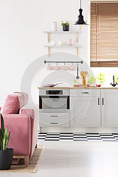 Black lamp above grey kitchenette in open space interior with pink sofa and window. Real photo photo