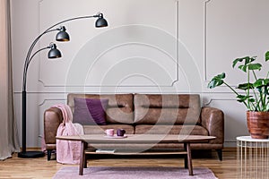 Black lamp next to leather settee in modern living room interior with table and plant. Real photo
