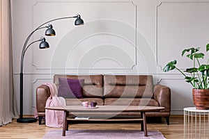 Black lamp and plant on table in retro living room interior with leather settee with blanket. Real photo