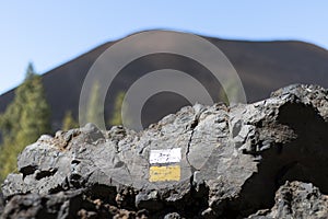 Black lava fields and green pine forest of the Chinyero and Teide volcanoes with bright shining sun and blue sky