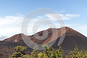 Black lava fields and green pine forest of the Chinyero and Teide volcanoes with bright shining sun and blue sky