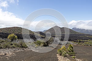 Black lava fields and green pine forest of the Chinyero and Teide volcanoes with bright shining sun and blue sky