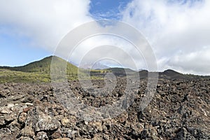 Black lava fields and green pine forest of the Chinyero and Teide volcanoes with bright shining sun and blue sky