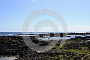 Black lava rock shoreline at low tide at Richardson`s Beach Park in Hawaii