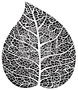 Black leaf skeleton silhouette