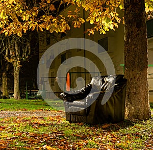 Black leather armchair, at the foot of a tree, in a neighborhood