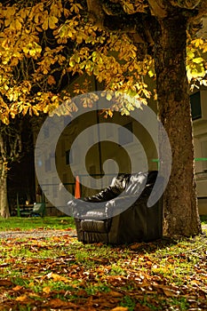 Black leather armchair, at the foot of a tree, in a neighborhood