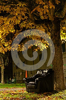 Black leather armchair, at the foot of a tree, in a neighborhood