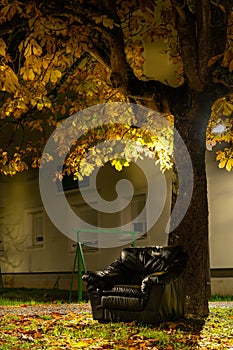 Black leather armchair, at the foot of a tree, in a neighborhood