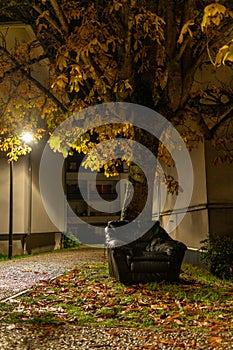 Black leather armchair, at the foot of a tree, in a neighborhood