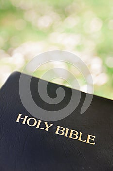 Black leather bible against blurred green grass backgroundHoly b
