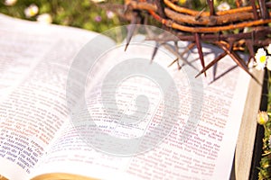 Black leather bible and thorn crown on a flower field