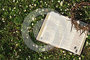 Black leather bible and thorn crown on a flower field