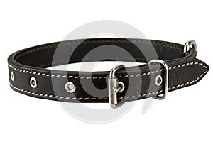 Black leather dog collar