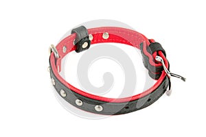 Black leather dog collar Isolated on a white