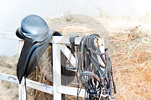 Black leather equestrian sport equipment and accessories hanging