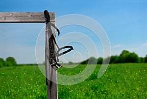 The black leather snaffle bridle is hanging on the wooden hitching post on against the landscape