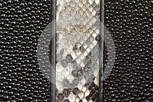 Black Leather Texture purse backgrounds