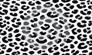 black leopard fur texture seamless pattern.