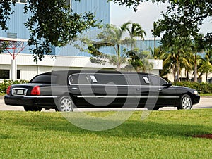 Black limo